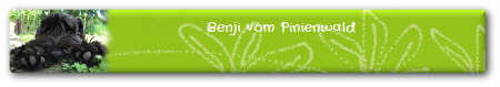 Benji_Logo