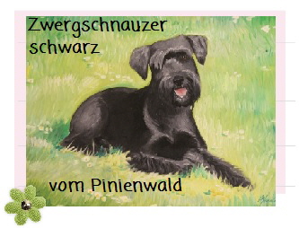 Pinienwald_Logo_01